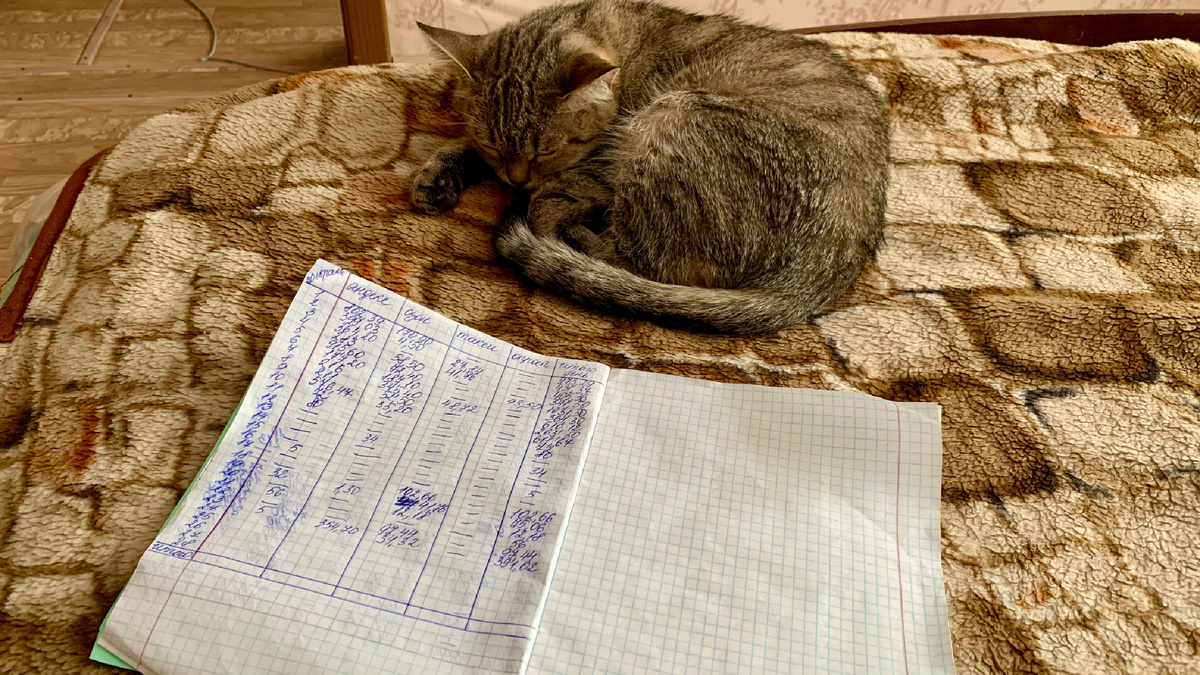 Тетрадь доходов