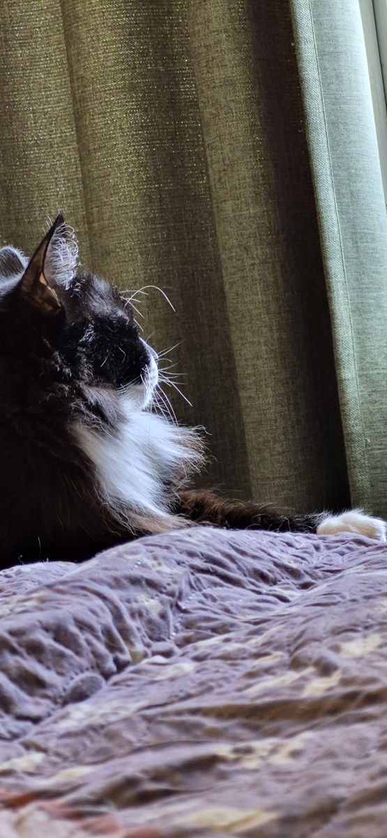 Гордый профиль