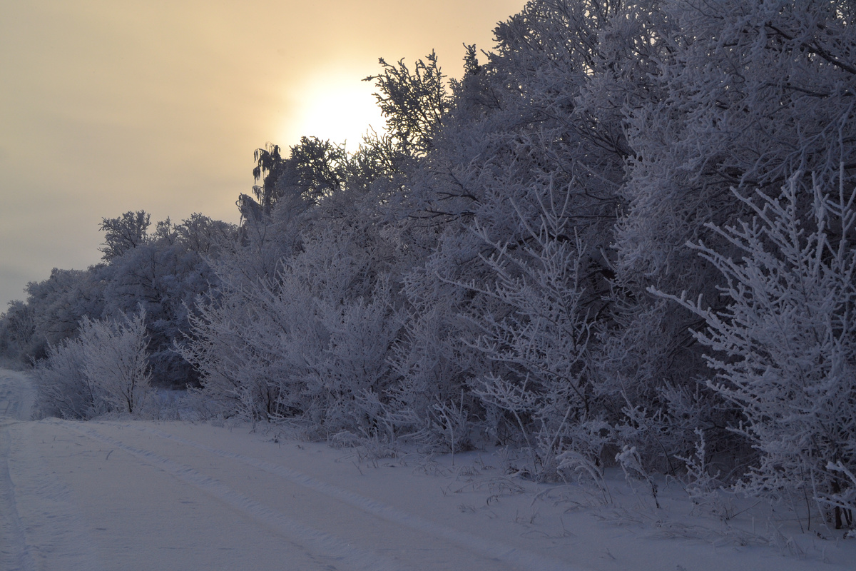 Бывали же зимы...