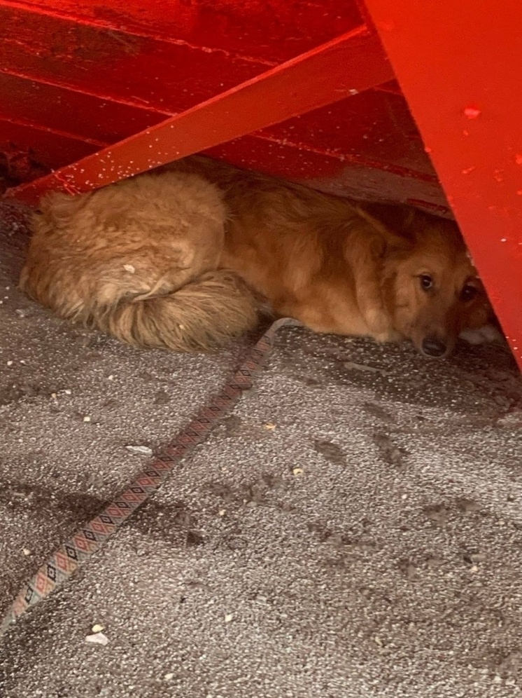     ФОТО: НАДЕЖДА НАСТИНА