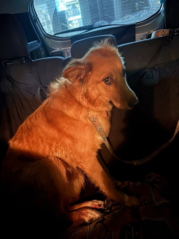     ФОТО: НАДЕЖДА НАСТИНА