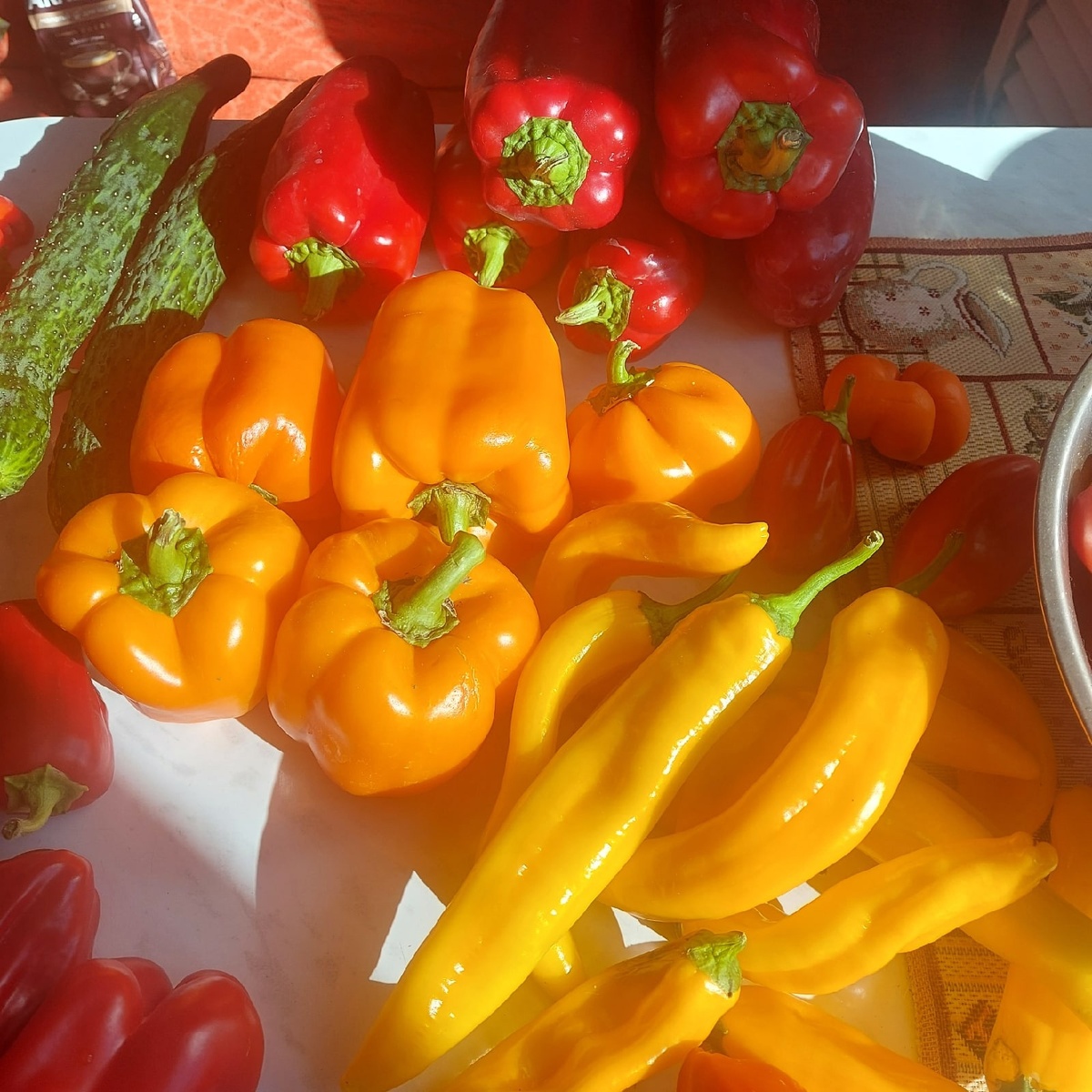 Фото любимой культуры от автора