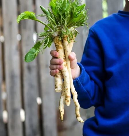 Магия хрена - неукротимая и огненная! Читай скорее!