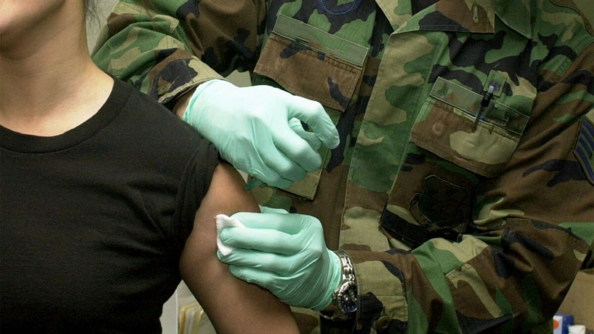    Фото: Said Fx / Shutterstock / Fotodom