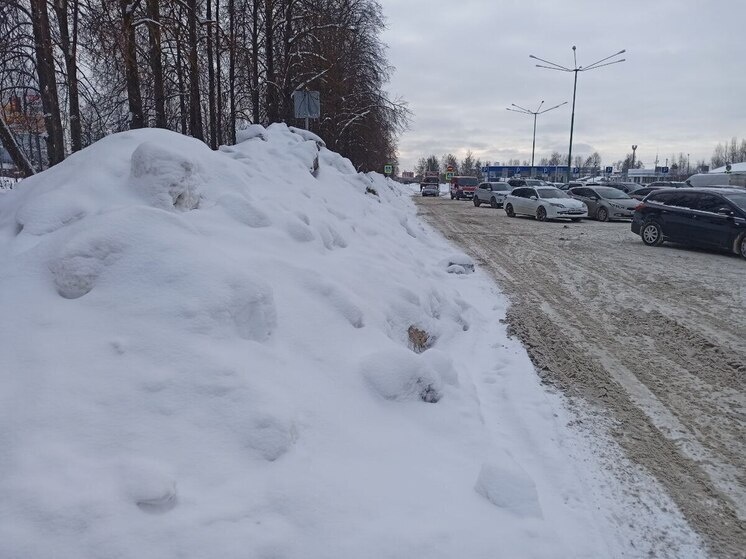     «МК-Иваново»