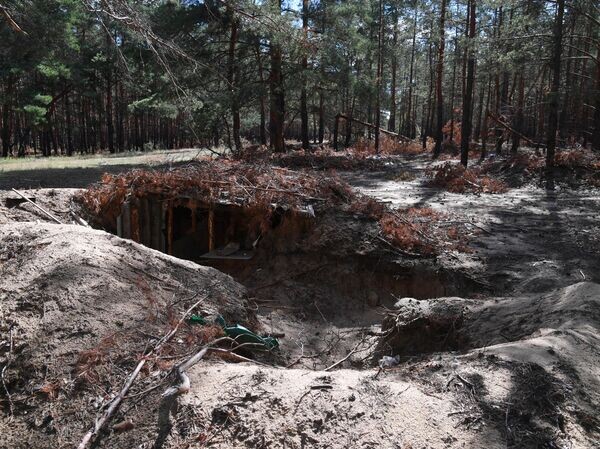    © РИА Новости Виктор Антонюк