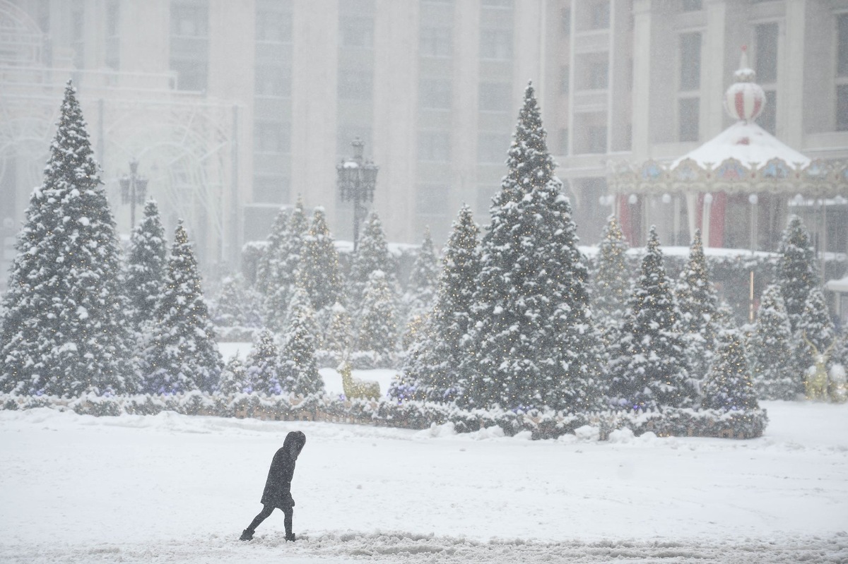    Фото: медиасток.рф