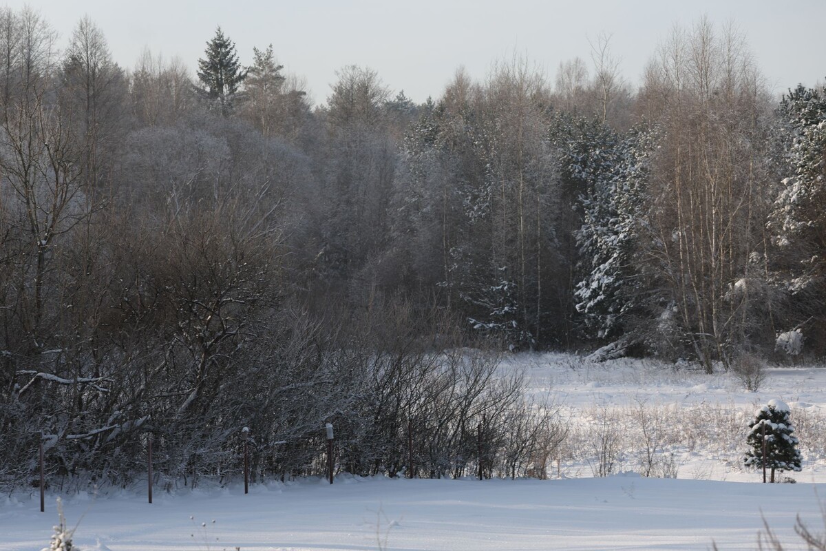  © Павел Орловский, Times.by