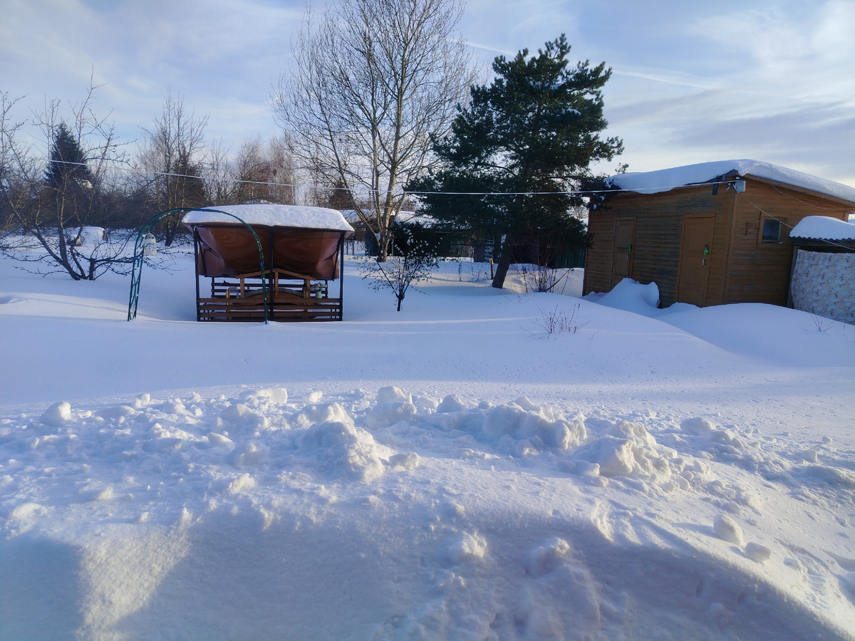 Дорожек не видно