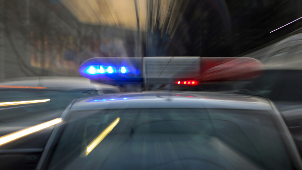    ДПС ГИБДД мигалка без привязки (ТАСС)