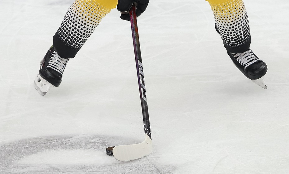    ВХЛ Фото: Global Look Press