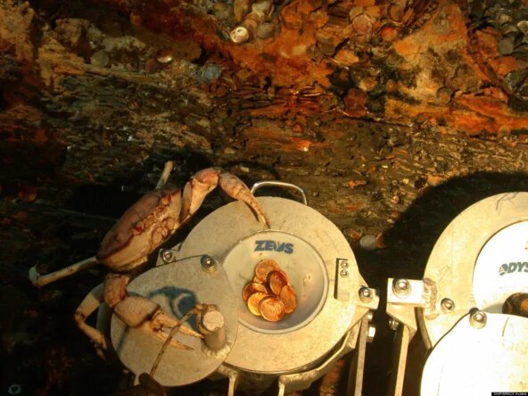 Золото с корабля Republic OME