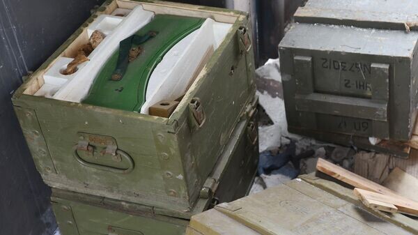    © Sputnik / Сергей Аверин