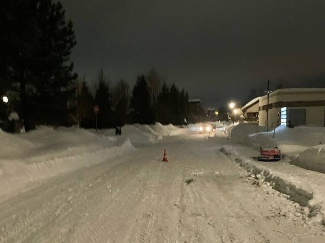    Фото: телеграм-канал "Прокуратура Московской области"