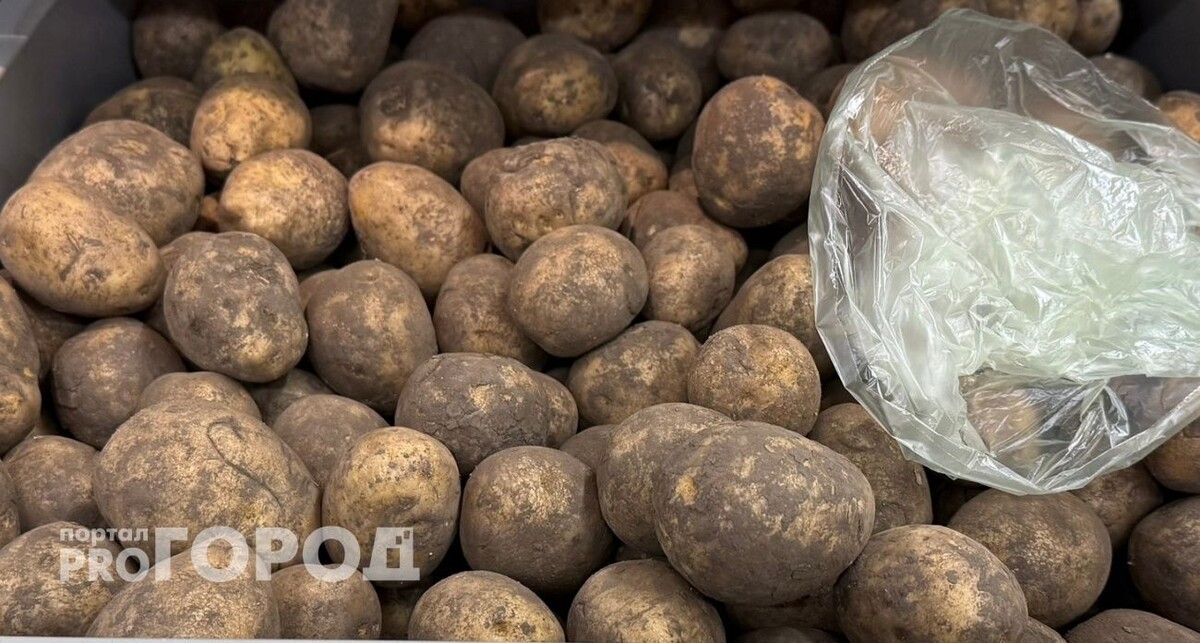    Из архива "Про Город"