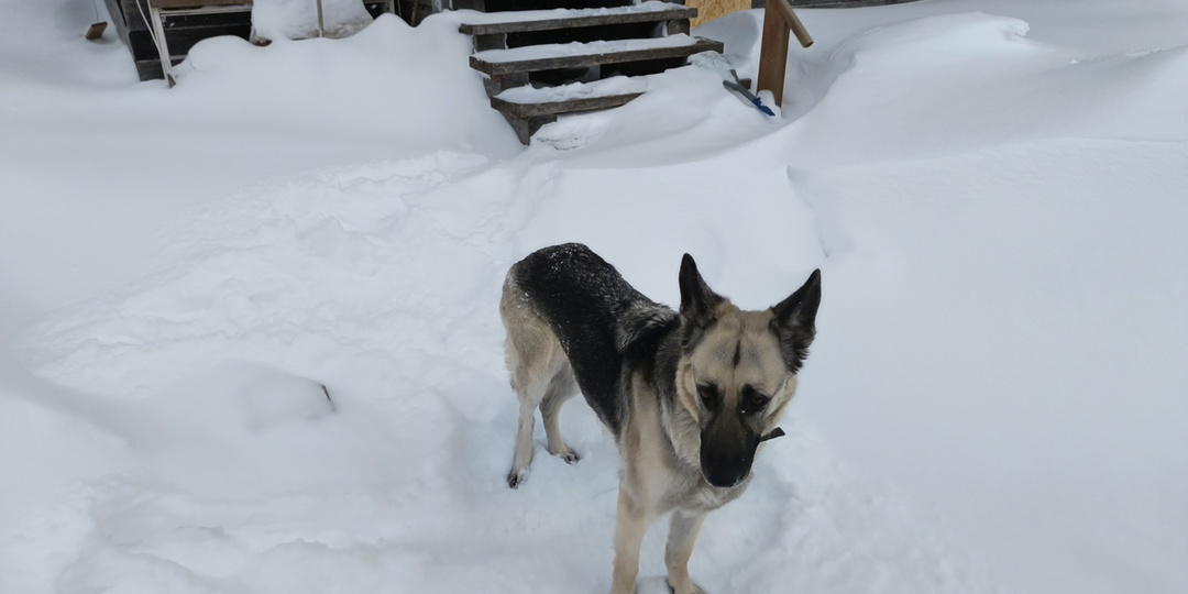 Снегопад, покупки и уютные лоскутные коврики