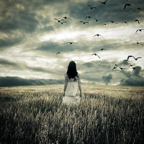 Фото из свободных источников интернета