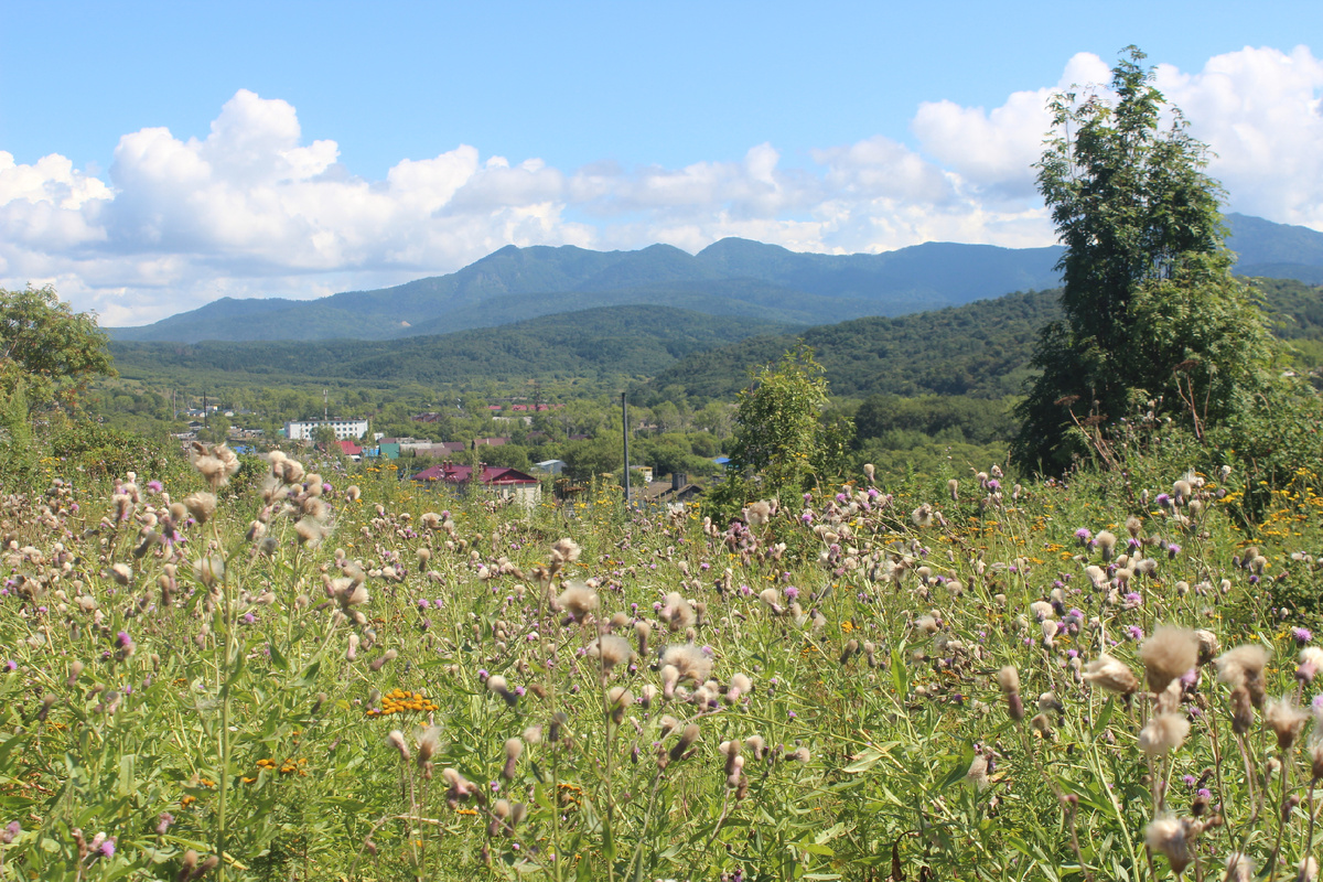 Александровск-Сахалинский