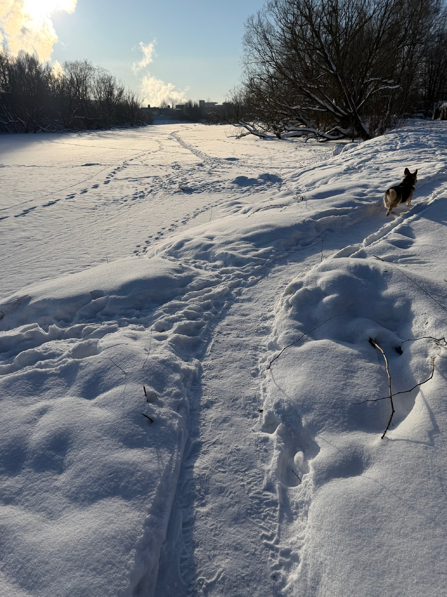 Февральское солнце