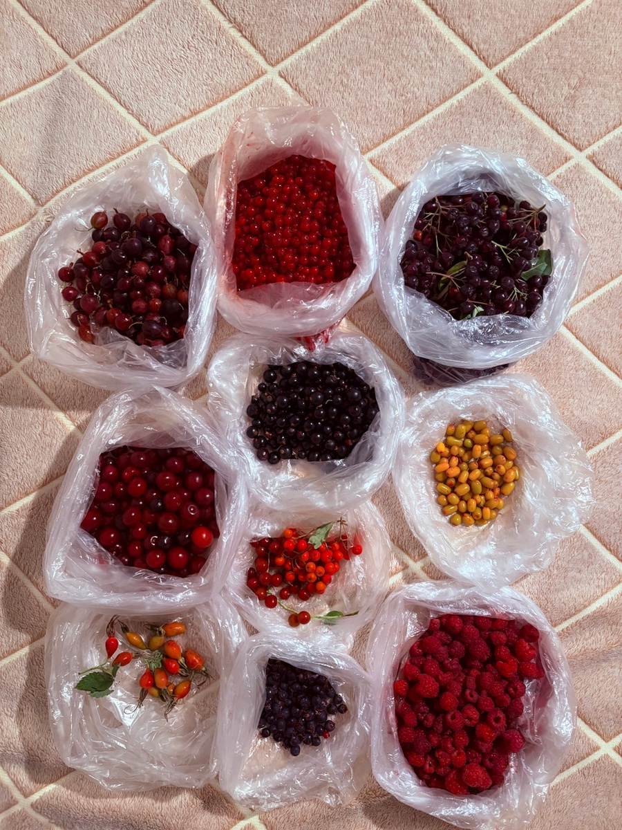 А это наши самые первые ягоды