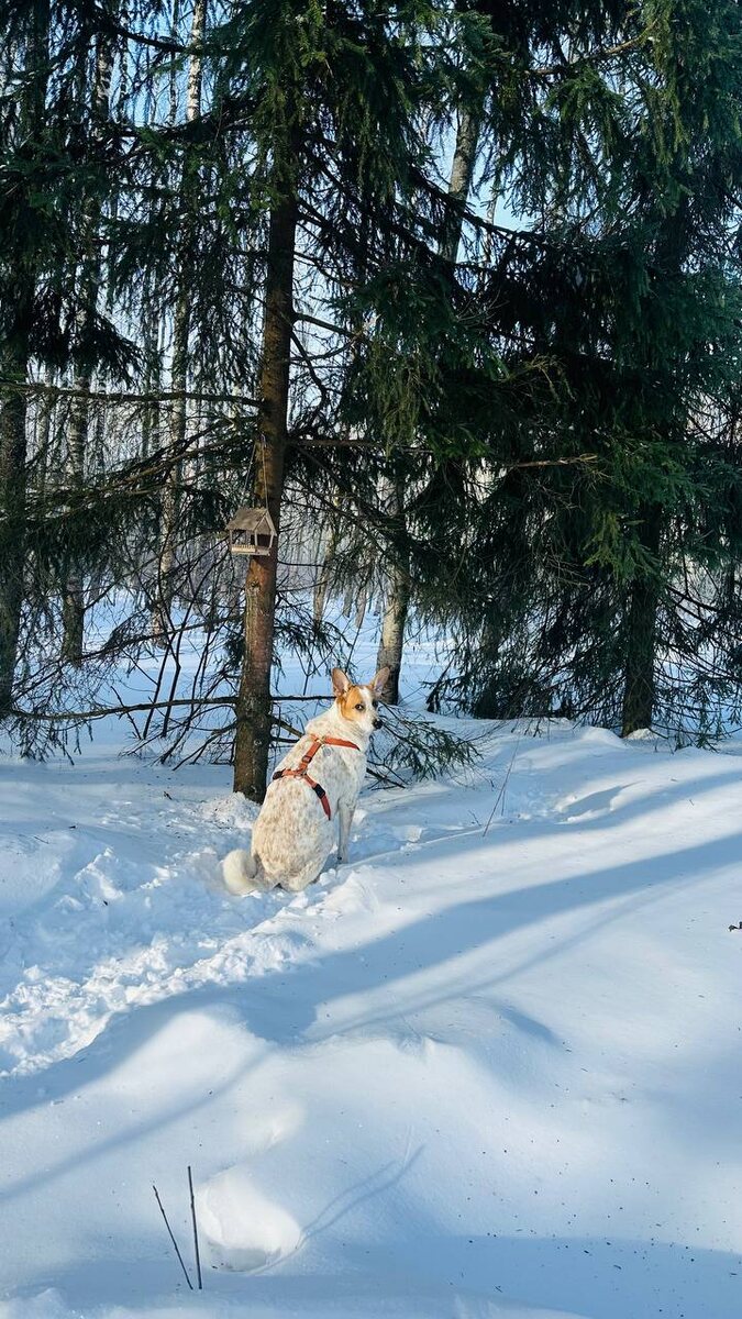 Из свеженького 