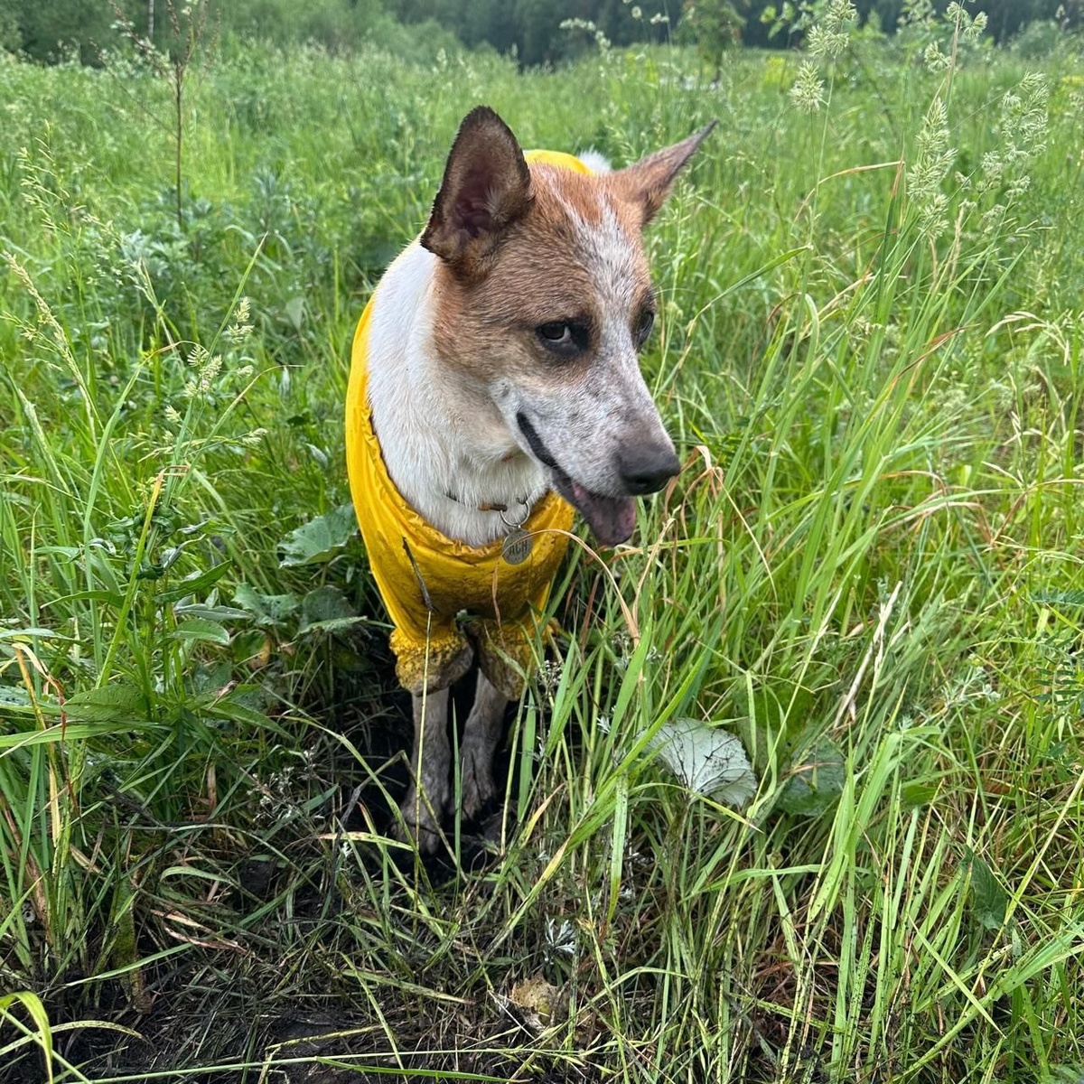 Привееееет!