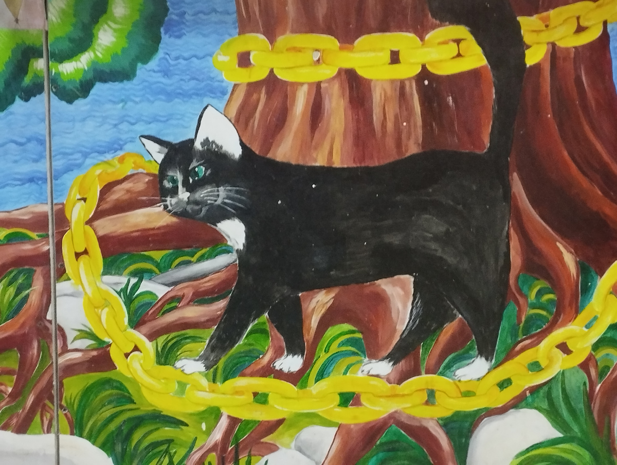 Фото для обложки