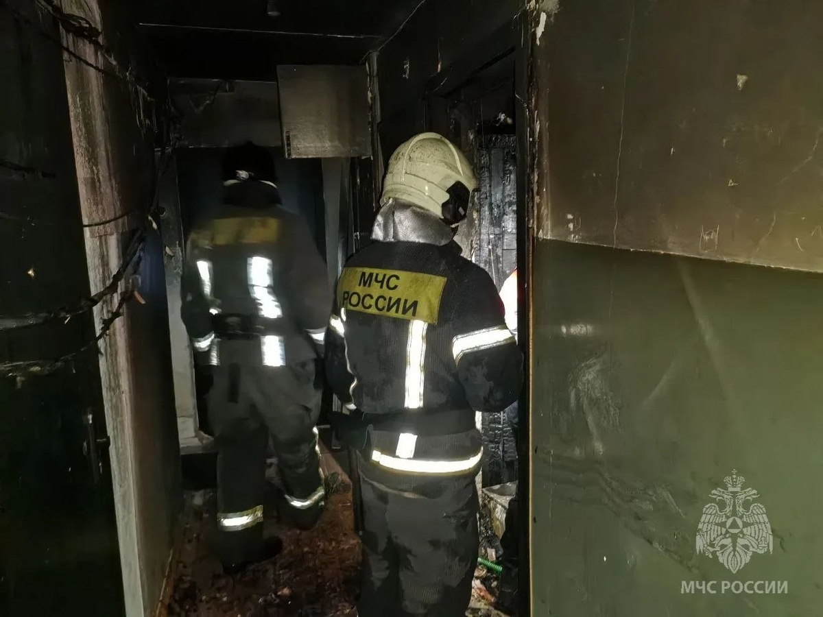    МЧС пожарные пепелище