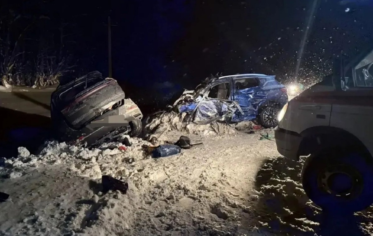    Фото: Telegram-канал «УМВД России по Вологодской области» @umvd35