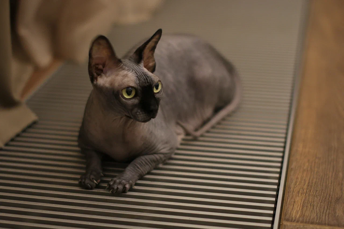 Всегда на стороже 🤨