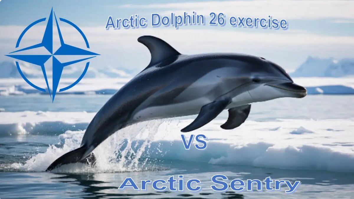    Дельфины в Арктике. Художественное изображение сгенерированное ИИ.