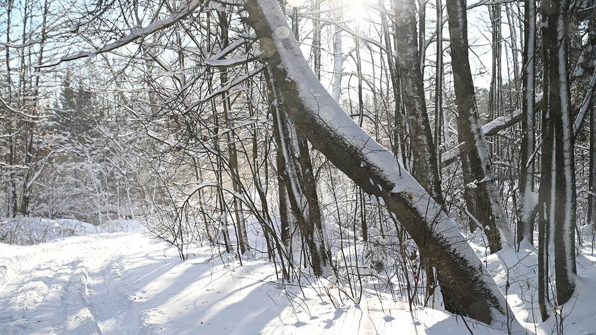    Фото: Алексей Орлов / Вечерняя Москва