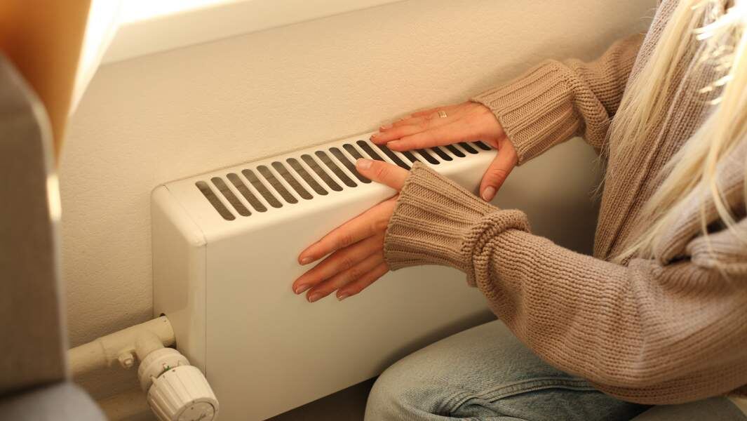    Фото: ИЗВЕСТИЯ/Юлия Майорова