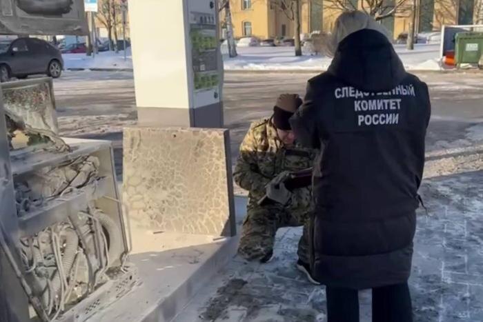 Обложка © Telegram / Питерский Следком