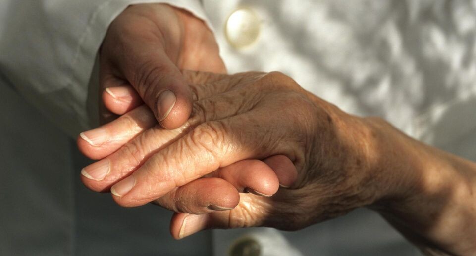    Ulrich Niehoff/http://imagebroker.com/#/search / www.globallookpress.com