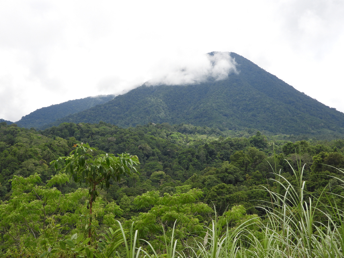 ВИДЫ НА НАЦПАРК ТАНГКОКО 