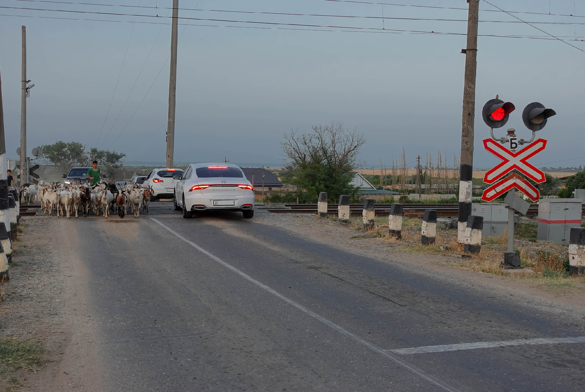 Нарушители ПДД на железнодорожном переезде