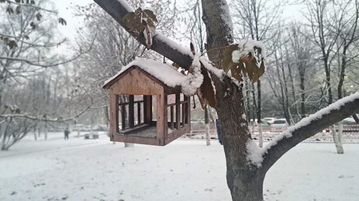    Прогноз погоды Наталья Краснова