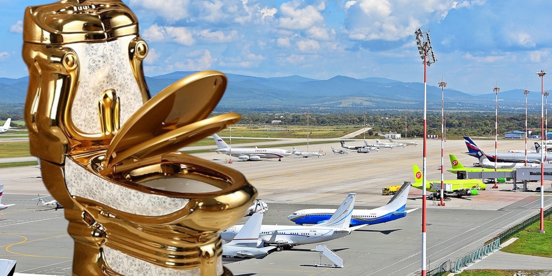 Сижу и думаю: 72 миллиона на унитазы — это гениально или безумно? Давайте считать вместе