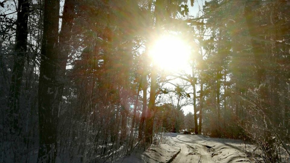 Доброе утро