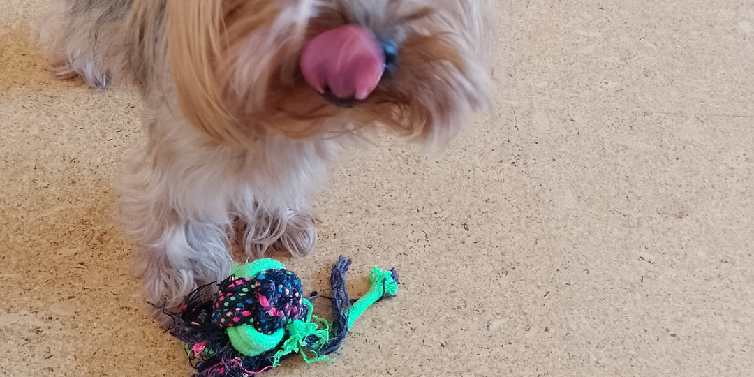 Про воскресенье и о том, как я в гости съездила