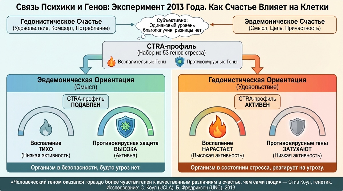 Связь психики и генов. Как счастье влияет на клетки
