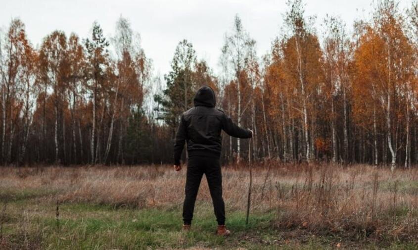 Искал грибы — нашел неприятности: амурчанин попал под суд и лишился машины из-за пагубной привычки