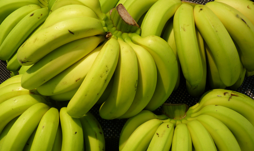 Сколько в сантиметрах: с 1 марта начнет действовать новый ГОСТ на бананы