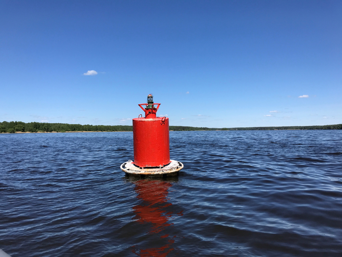 Фото автора©️