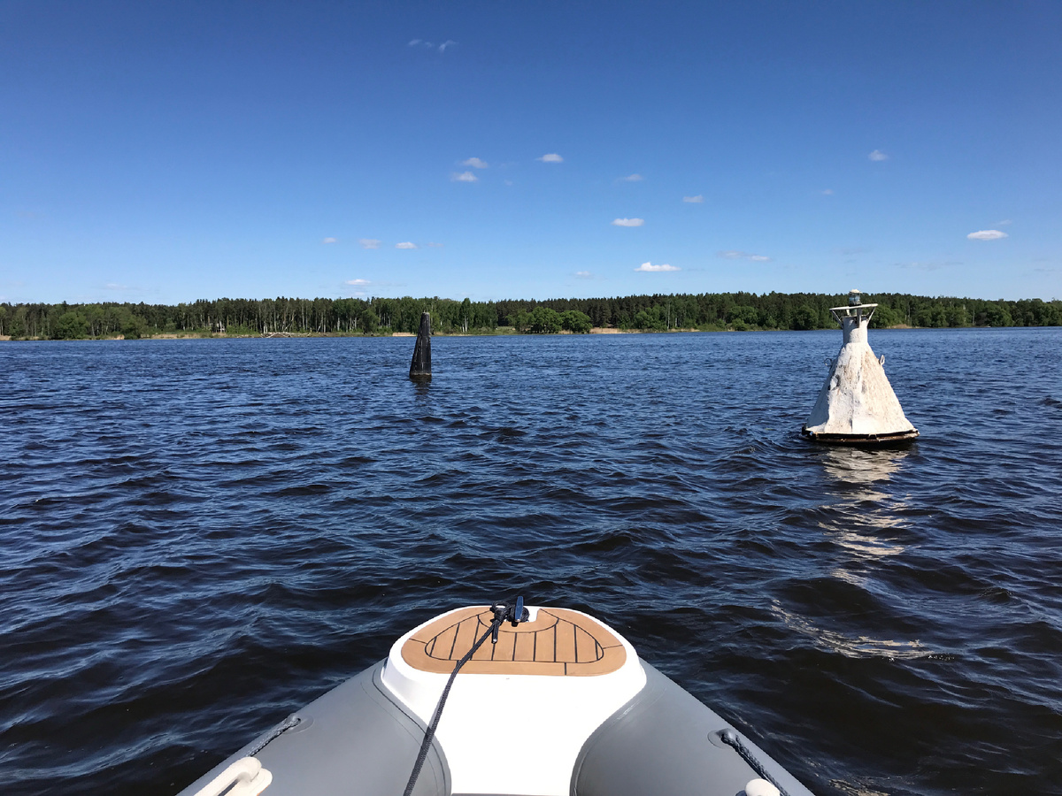 Фото автора©️