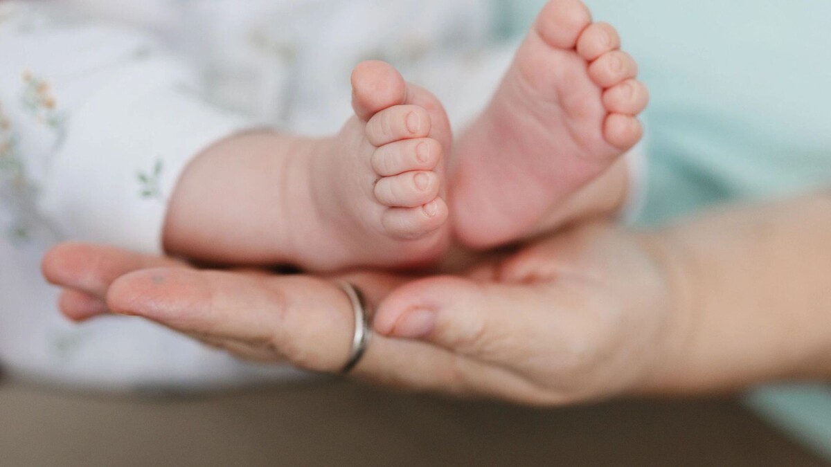    Фото: Юлия Чудинова / «Ямал-Медиа»