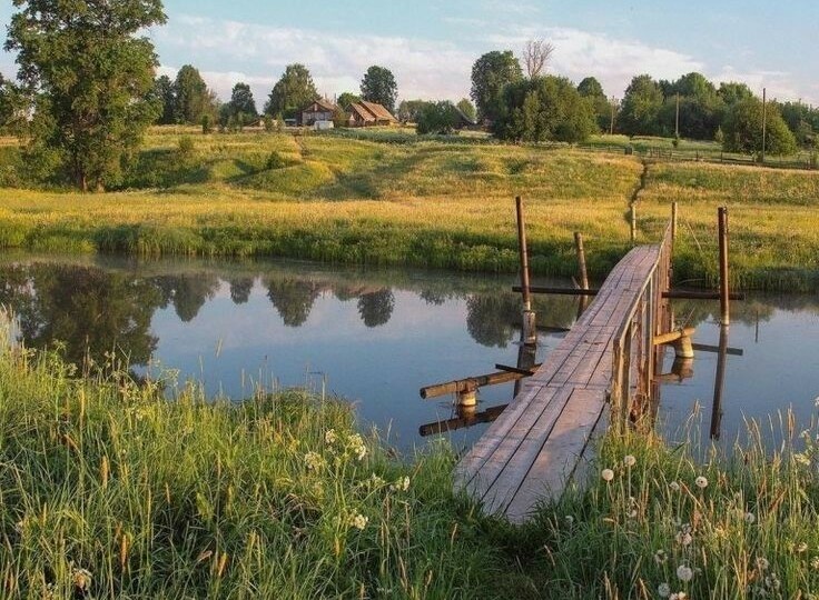 Жаль, что жизнь прожила неправильно