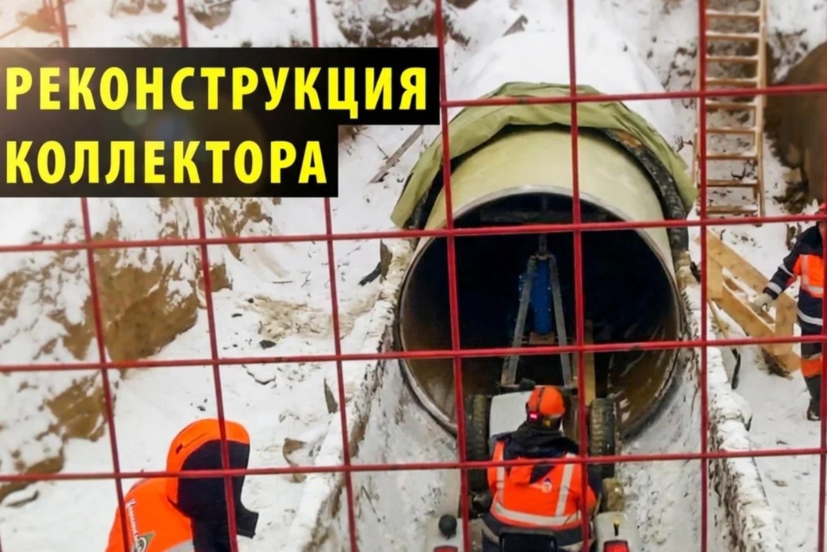    Фото: коллаж "Прецедента"