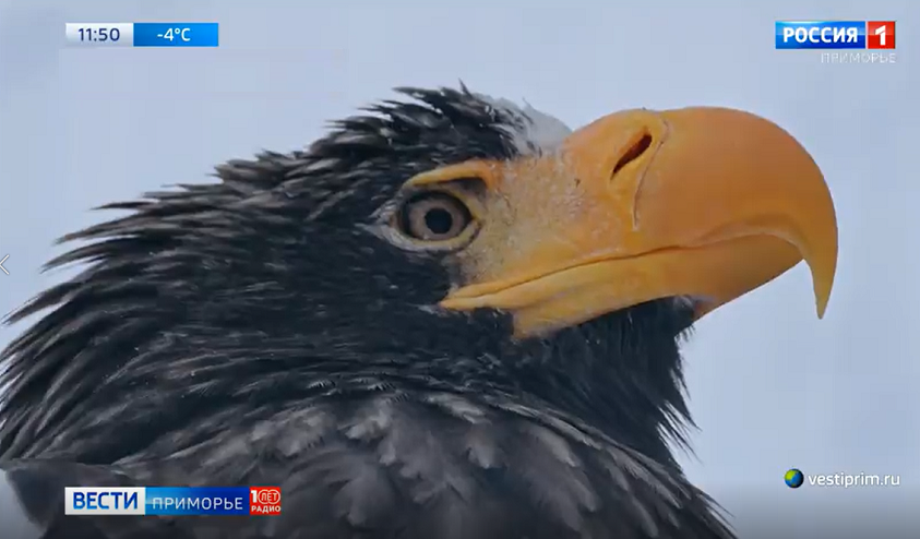    Источник фото: